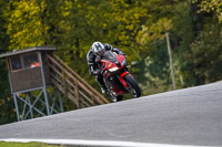 Lower Group Red Bikes